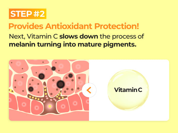Numbuzin No.5 Vitamin Boosting Essential Toner — Product detail 13