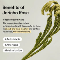 Abib Non-Animal Collagen Eye Cream Jericho Rose Tube: Jericho rose ingredient properties