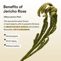 Abib Vegan Collagen Eye Patch Jericho Rose Jelly: Jericho rose ingredient properties