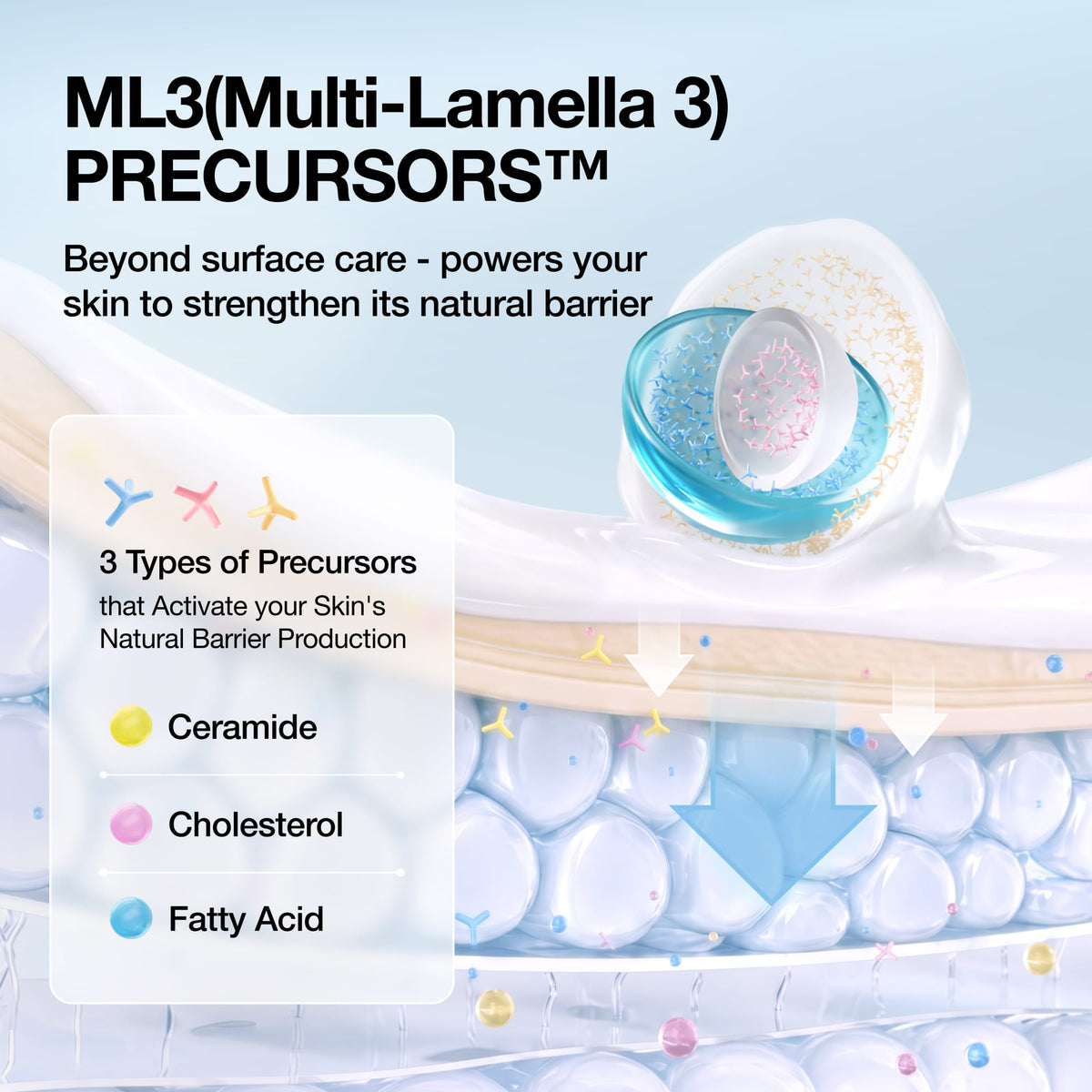 Anua Barrier Reboot Daily Moisturizer: multi lamellar lipid technology