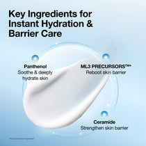 Anua Barrier Reboot Daily Moisturizer: panthenol and lipid ingredients