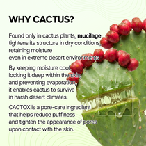 Dr. Melaxin Cactox Pore Relief Jelly Serum Mist — official product gallery image 4