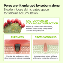 Dr. Melaxin Cactox Pore Relief Jelly Serum Mist — official product gallery image 5