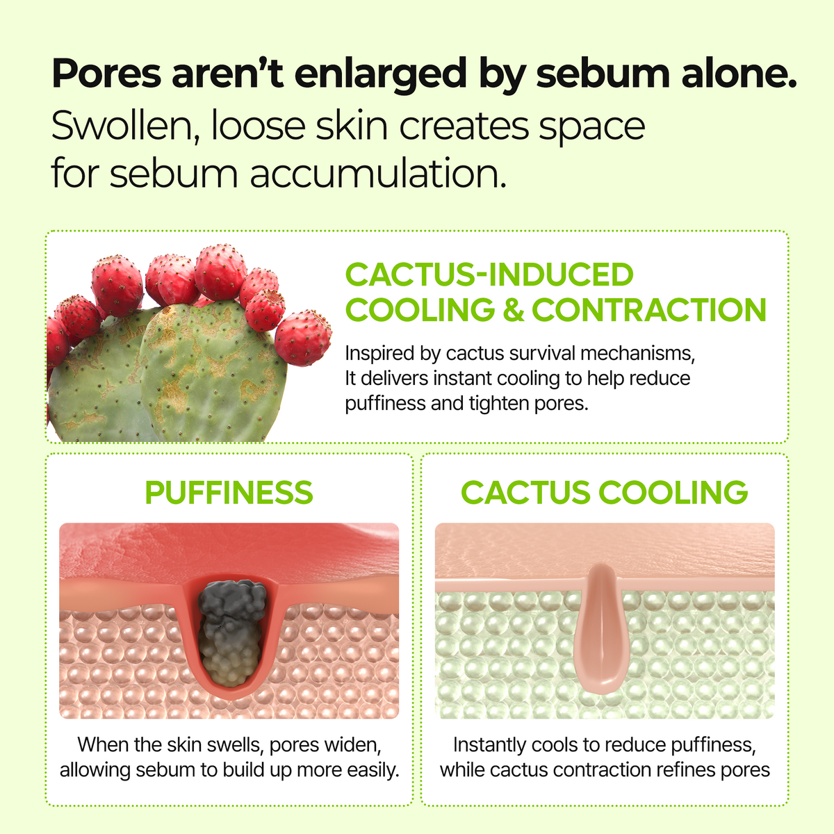 Dr. Melaxin Cactox Pore Relief Jelly Serum Mist — official product gallery image 5