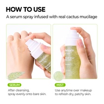 Dr. Melaxin Cactox Pore Relief Jelly Serum Mist — official product gallery image 7