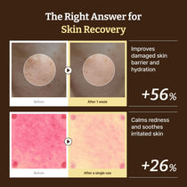 Dr.Reju-All Advanced PDRN Rejuvenating Cream - 20ml — official product gallery image 4