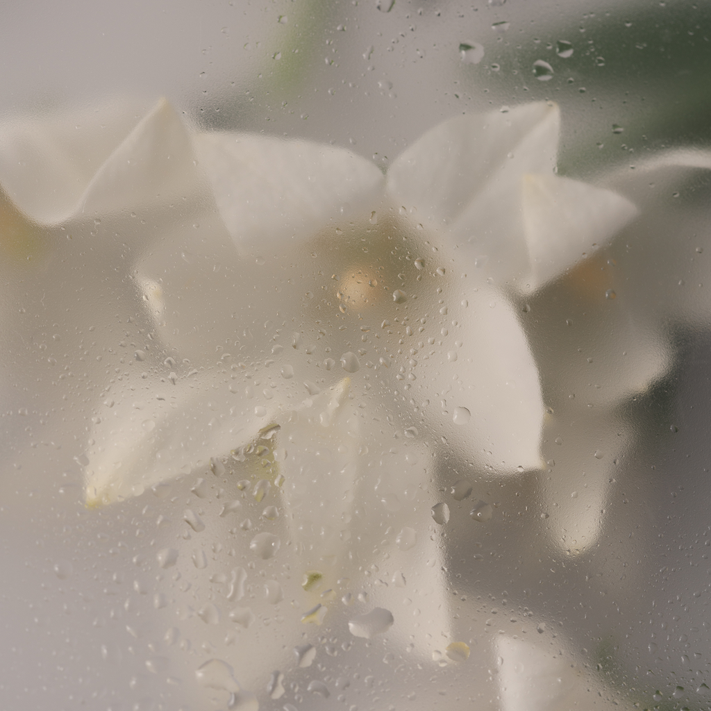 Heimish Moringa Ceramide Hyaluronic Hydrating Cream - 50ml — 50 ml cream jar and flowers photographed through misted glass.