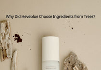 Heveblue Makeup Pro Ecto Namu Water Mist 50 ml — bottle with wood and botanical props.