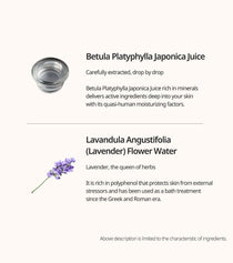 Heveblue Makeup Pro Ecto Namu Water Mist 50 ml — birch and lavender ingredient guide.