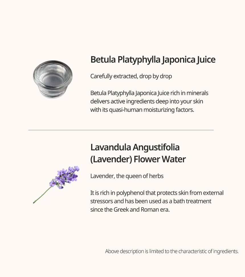 Heveblue Makeup Pro Ecto Namu Water Mist 50 ml — birch and lavender ingredient guide.