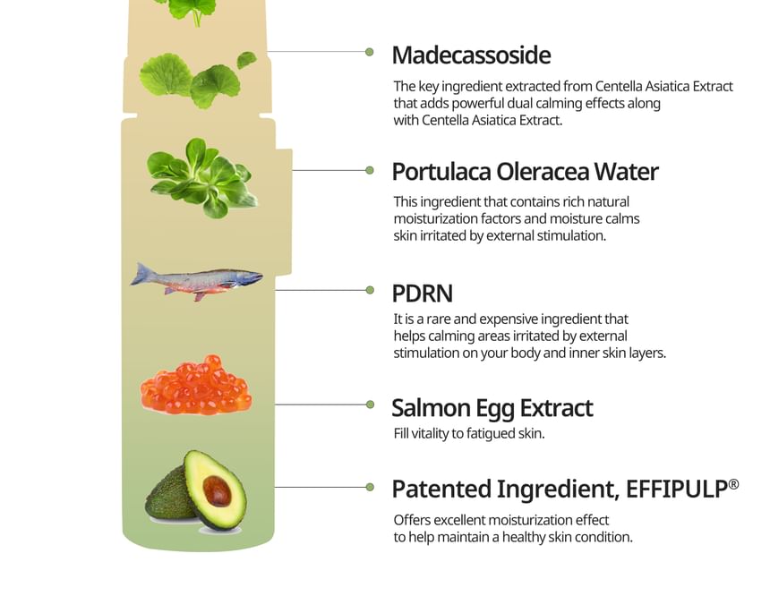 Heveblue Salmon Caring Centella Bubble Cleanser 200 ml — salmon and botanical ingredient diagram.