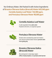 Heveblue Salmon Caring Centella Bubble Cleanser 200 ml — broccoli and botanical water ingredient guide.
