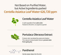 Heveblue Salmon Caring Centella Cream 100 ml — centella and panthenol ingredient guide.