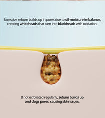 Heveblue Salmon Caring Centella Light Cleansing Oil - 250ml — manufacturer pore and sebum diagram.