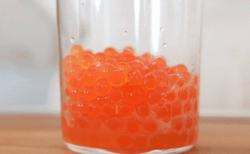 Heveblue Salmon Caring Centella Toner 200 ml — salmon-egg ingredient photography.