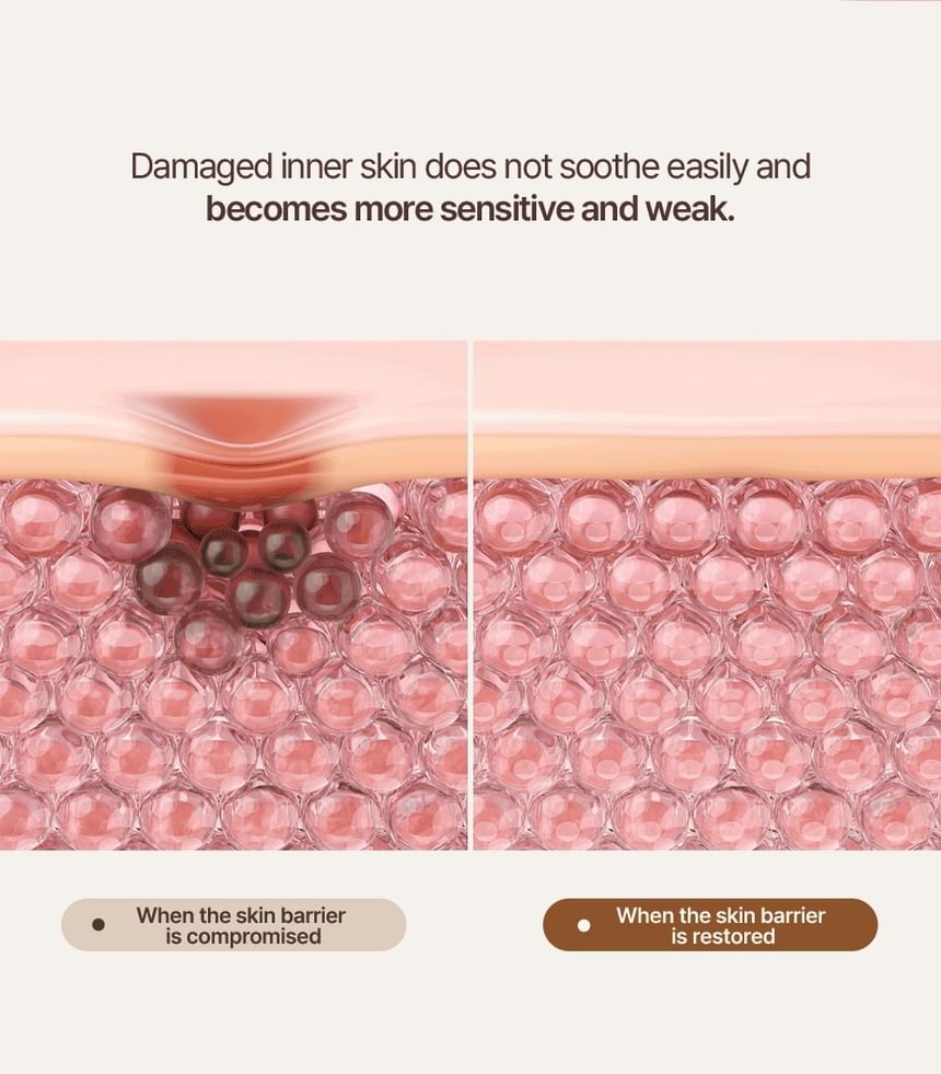 Heveblue Salmon Caring Newpair PDRN Booster 100,000 Shot Essence 5 ml — manufacturer skin-barrier diagram.