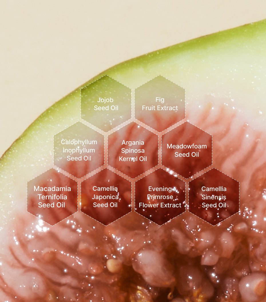 I'm From Fig Cleansing Oil — plant-oil and fig ingredient illustration