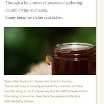 I'm From Honey Glow Serum — manufacturer honey ingredient story