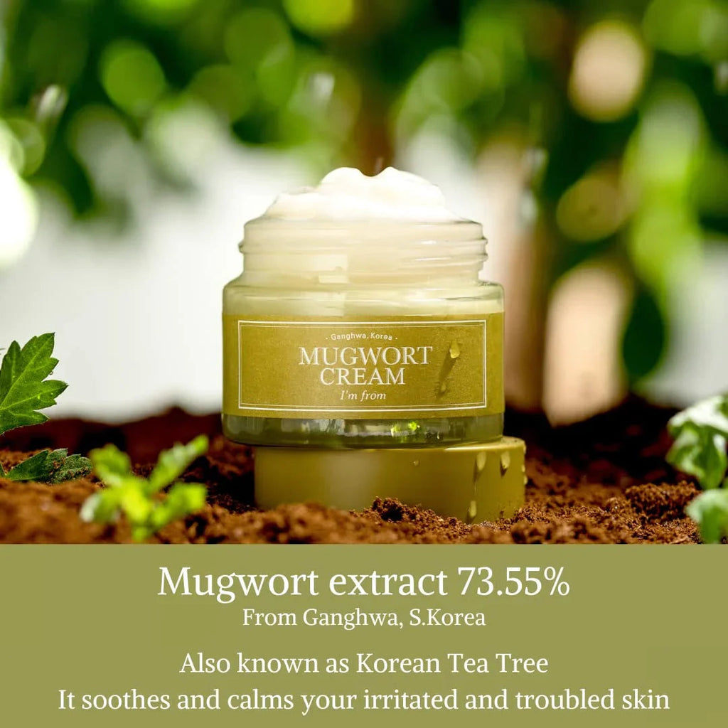 I'm From Mugwort Cream — mugwort cream jar and botanical ingredient panel