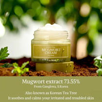 I'm From Mugwort Cream — mugwort cream jar and botanical ingredient panel
