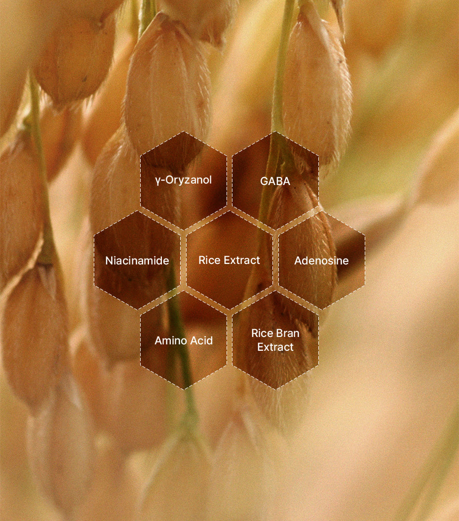 I'm From Rice Toner — manufacturer's rice and niacinamide ingredient illustration