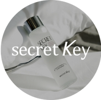 Secret Key logo