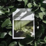 ANUA Heartleaf 77% Soothing Sheet Mask (10pc)