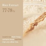 I’m From Rice Toner 150ml