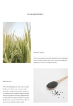 Beauty of Joseon Low pH Rice Face and Body Cleansing Bar