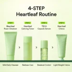 Abib Heartleaf Calming Trial Kit