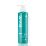 MEDICUBE Soymint Scaling Shampoo 490ml